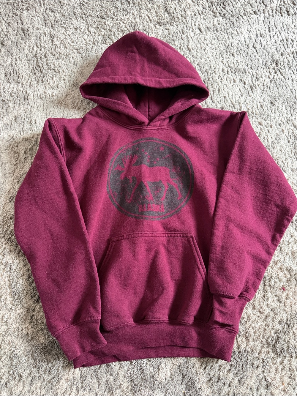 Kids Burgundy Alaska Pullover Hoodie with Moose Graphic